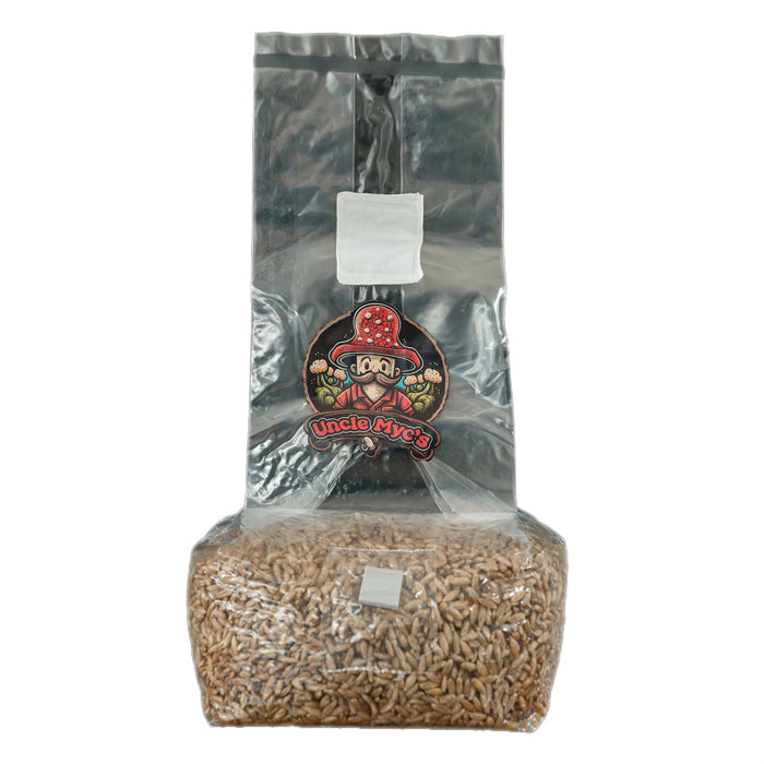 Uncle Myc's Rye Berry Grain 100% Sterilized Mushroom Spawn Bag