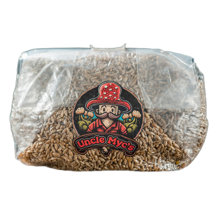 Uncle Myc's Rye Berry Grain 100% Sterilized Mushroom Spawn Bag