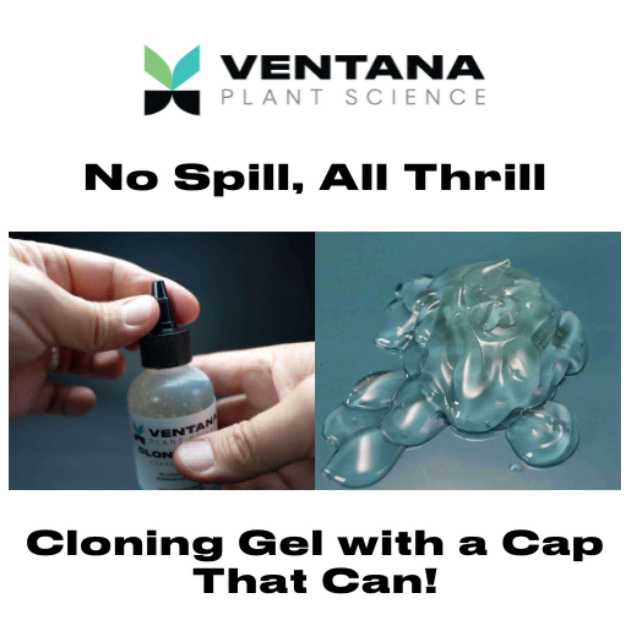 Ventana Plant Science Cloning Gel