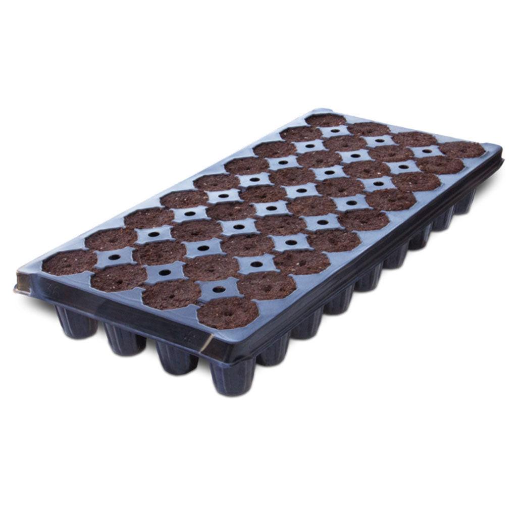 IHORT 36 Deep Prefilled Excel Plug Tray, Wrapped Pallet of 160 Trays - 5,760 Total Plugs