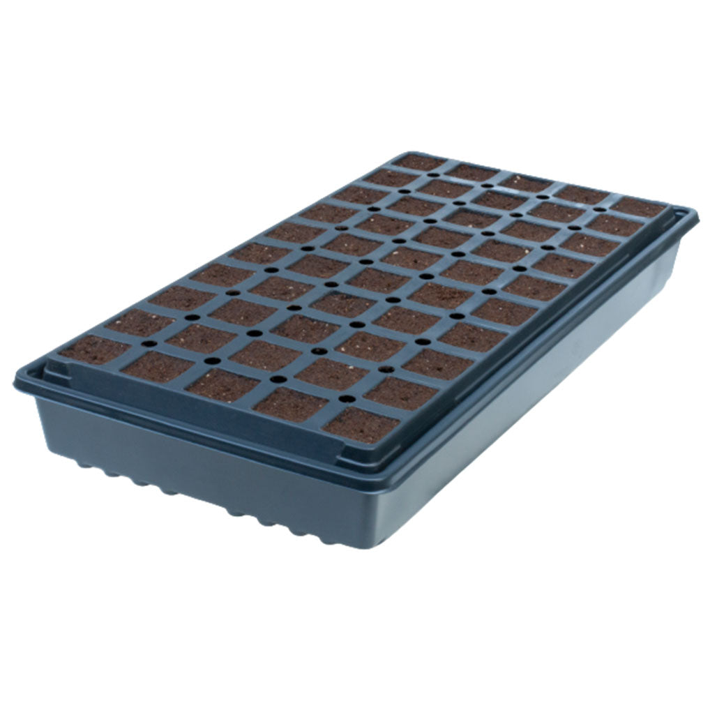 IHORT 50 Deep Prefilled Excel Plug Tray, Case of 5 Trays - 250 Total Plugs