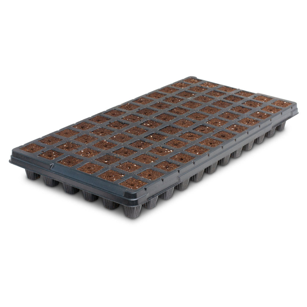 IHORT 72CT EJ Prefilled Excel Plug Tray