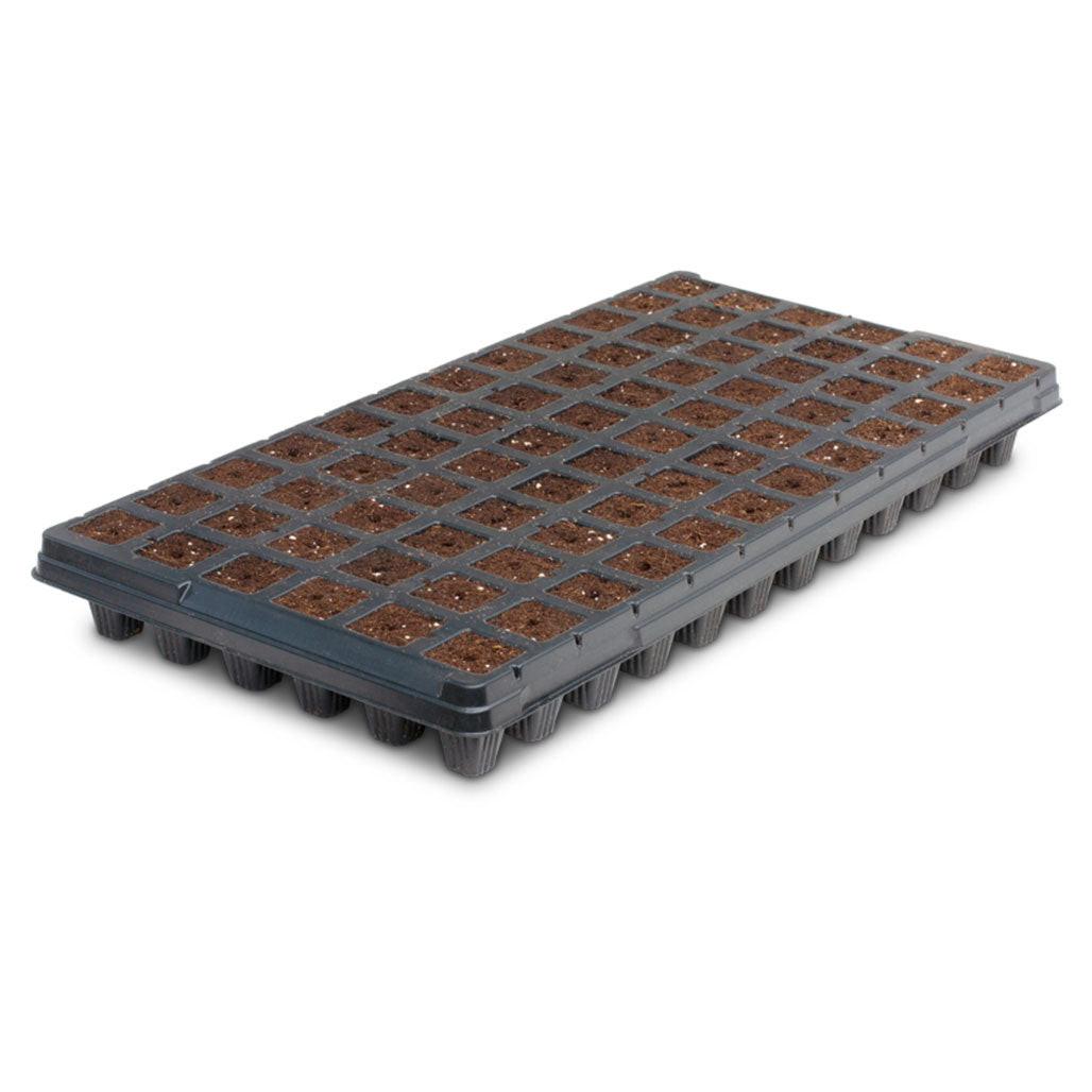 IHORT 72CT EJ Prefilled Excel Plug Tray, Wrapped Pallet of 264 Trays - 19,008 Total Plugs