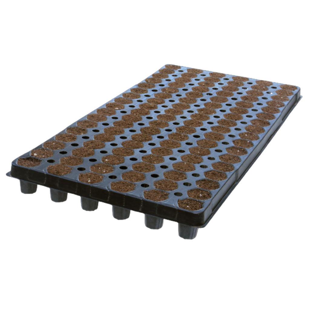 IHORT 102 Prefilled Excel Plug Tray, Wrapped Pallet of 280 Trays - 32,640 Total Plugs