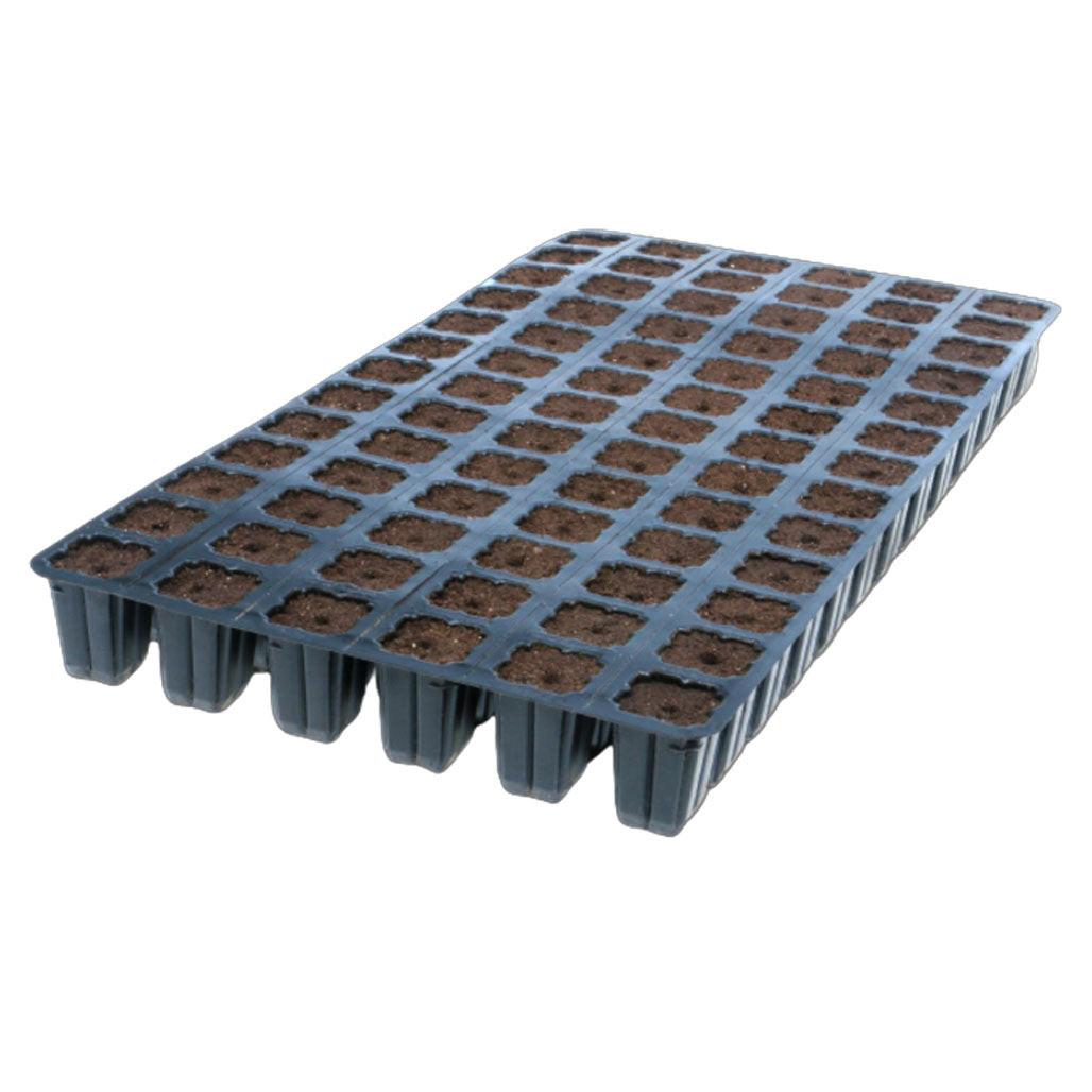 IHORT 78-13 Single Strip Prefilled Excel Plug Tray, Case of 7 Trays - 546 Total Plugs