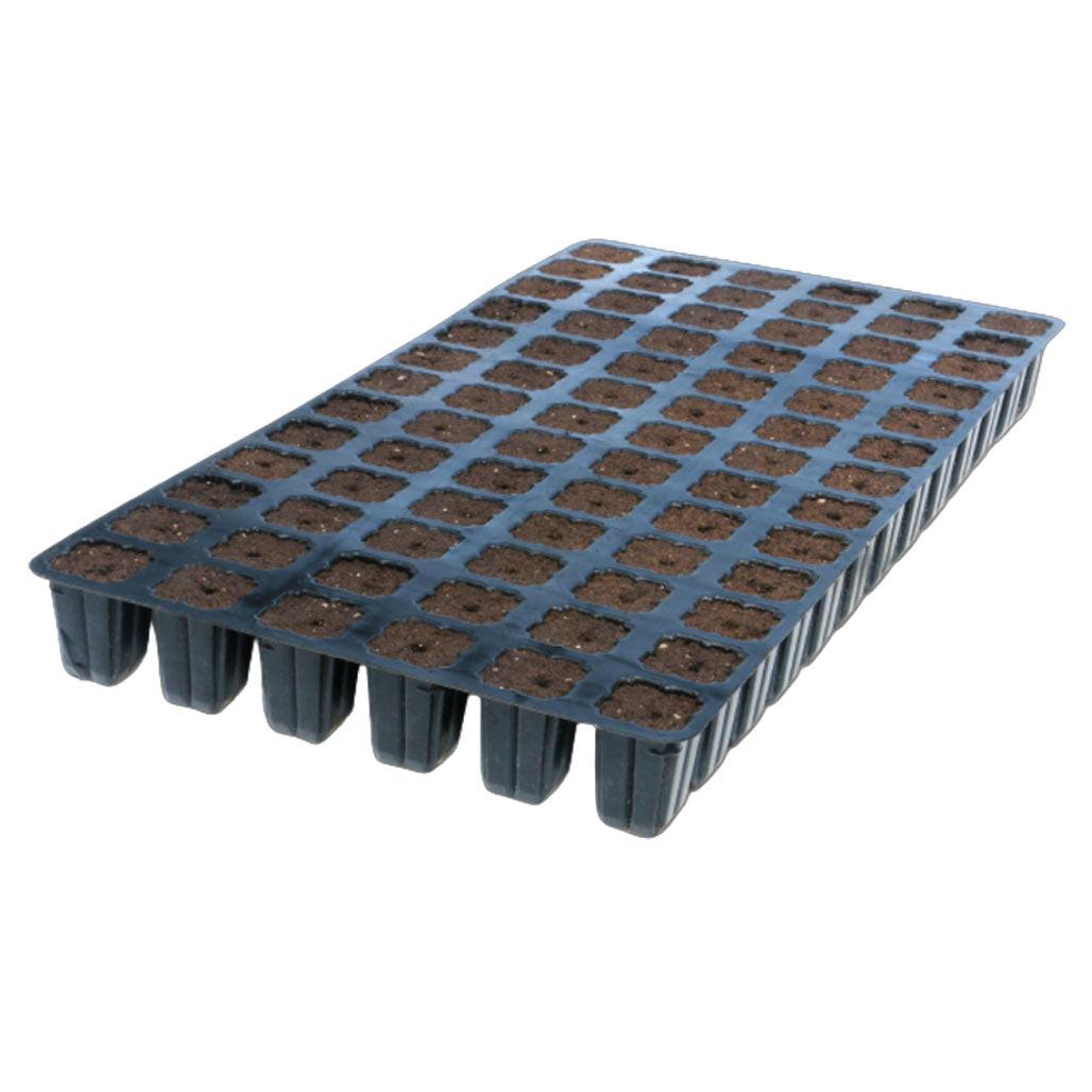 IHORT 78 Solid Prefilled Excel Plug Tray, Wrapped Pallet of 280 Trays - 21,840 Total Plugs