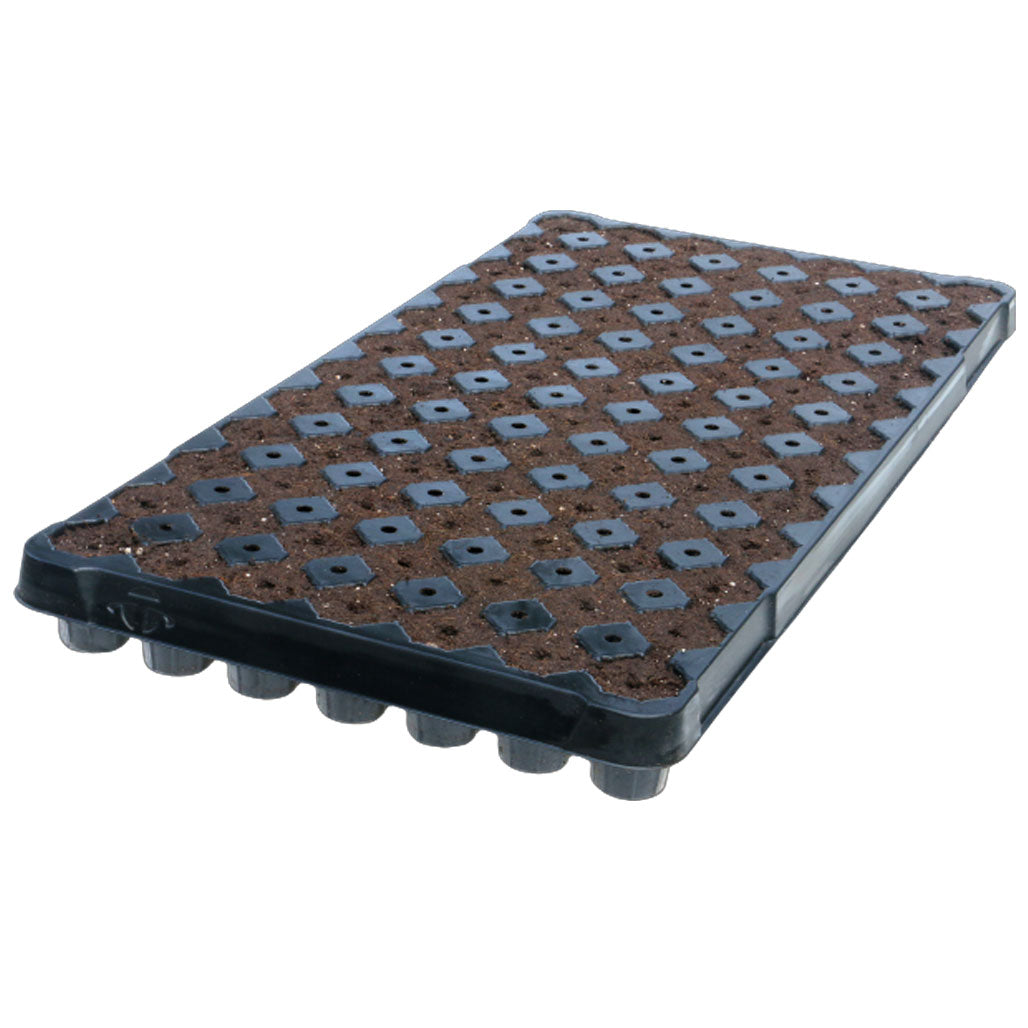 IHORT 84 Star Prefilled Excel Plug Tray