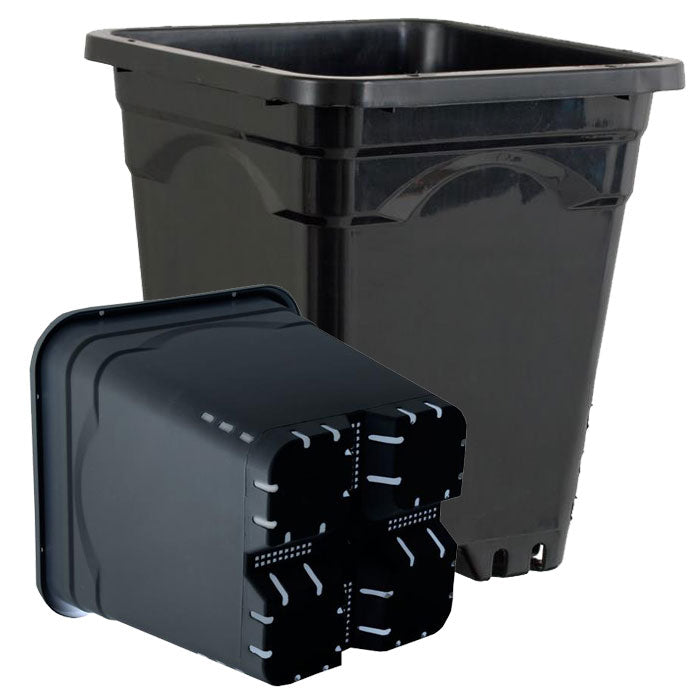 Active Aqua Square Black Pot
