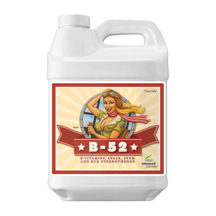 Advanced Nutrients Big Bud Coco Liquid, 10 Liter