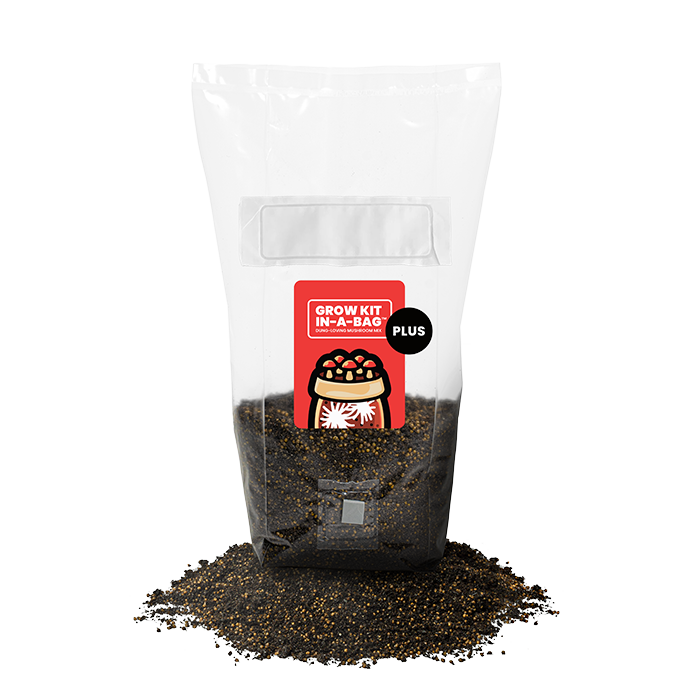Mushroom Supplies All In One Mushroom Grow Kit In-A-Bag Plus, 5 lbs