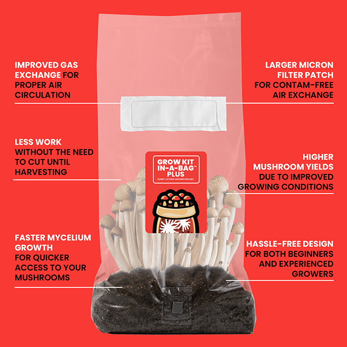 Mushroom Supplies All In One Mushroom Grow Kit In-A-Bag Plus, 5 lbs