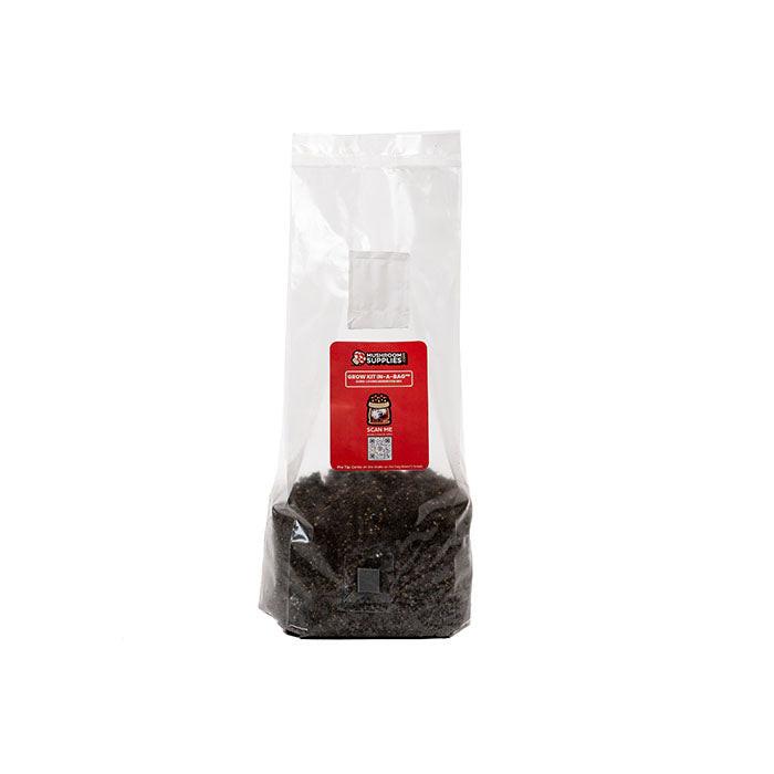 Mushroom Supplies All In One Mushroom Grow Kit In-A-Bag, 3 lbs