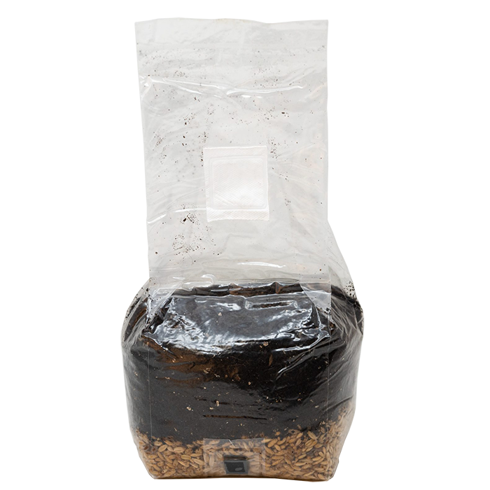 Monster Mushroom All-In-One Grow Bag 3 lb