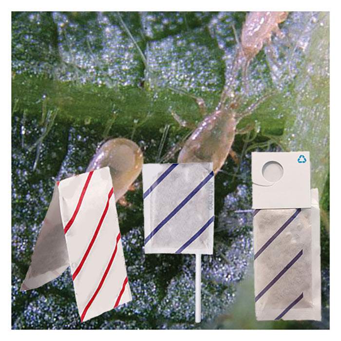 ARBICO Organics Amblyseius Cucumeris Beneficial Mites, Pack of 1,000 Mini Sachets With Hooks - 250 Per Sachet