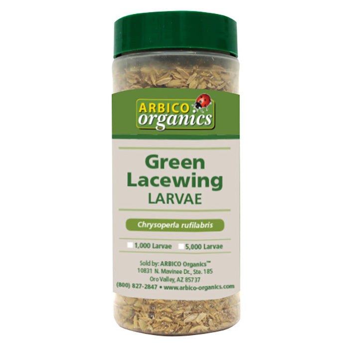 ARBICO Organics Green Lacewing Larvae, Pack of 5,000