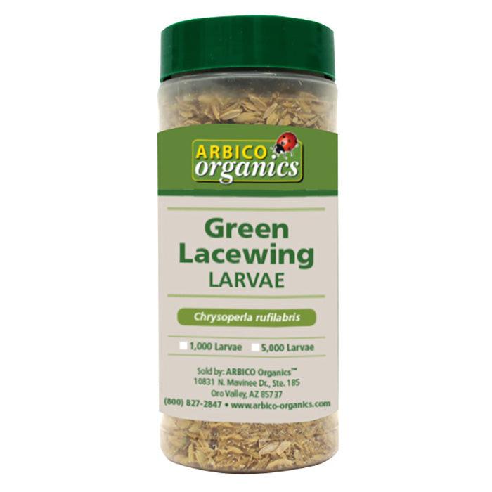 ARBICO Organics Green Lacewing Larvae