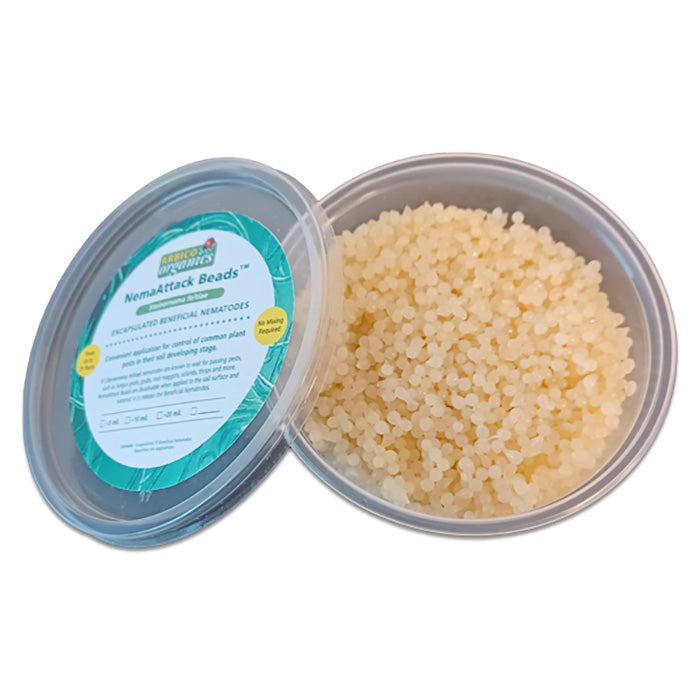 ARBICO Organics NemAttack Beads Steinernema Feltiae (Sf) Beneficial Nematodes, Pack of 20 Million