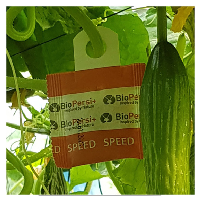 ARBICO Organics Phytoseiulus Persimilis PLUS Beneficial Mites