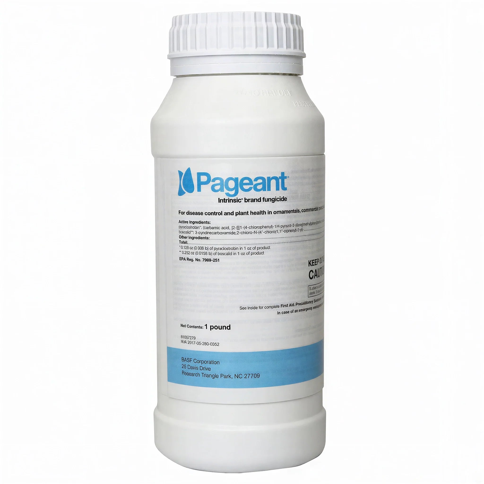 BASF Pageant Intrinsic Fungicide, 1 lb