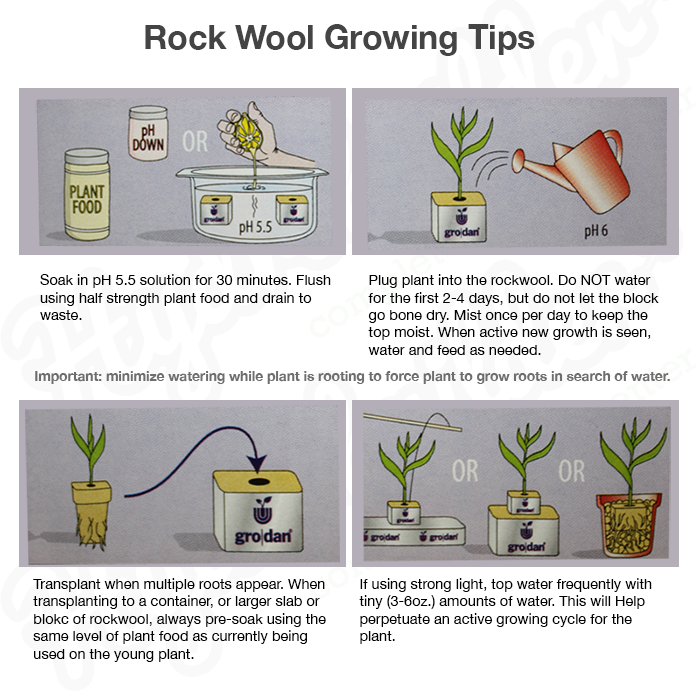 Grodan Delta Big Mama, 8" x 8" x 8" - Case of 18