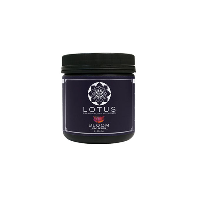 Lotus Pro Series Bloom, 16 oz.