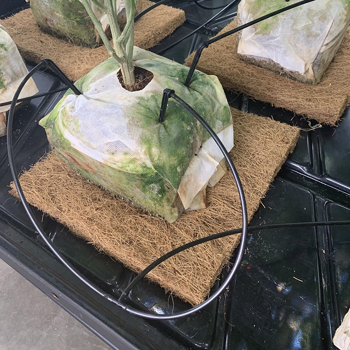 The Coco Depot GroMat Coco Grow Mats