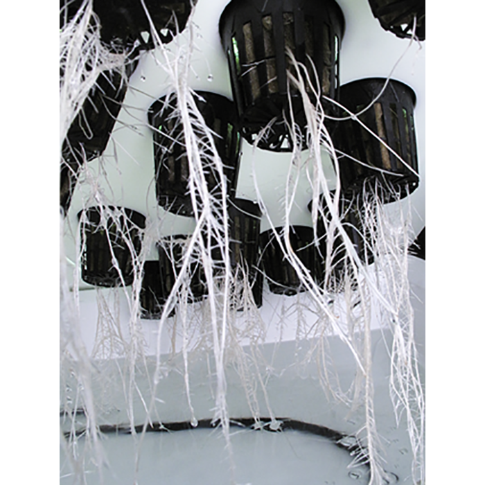 SuperCloset SuperCloner 14 Site Cloning Machine