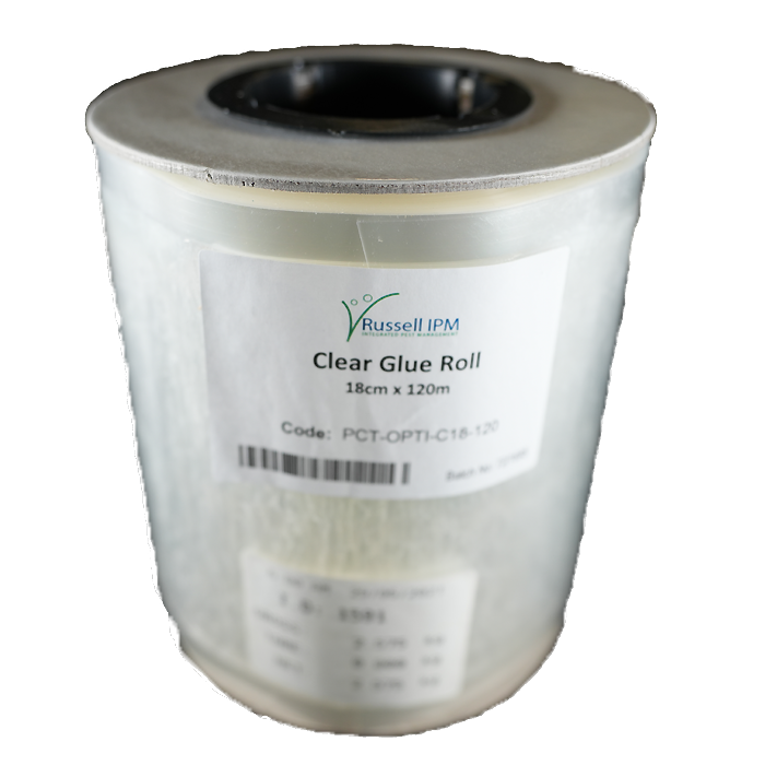 Common Culture Clear Film Glue Roll (Root Aphids) - 18cm x 120m (European Horticulture Standard).