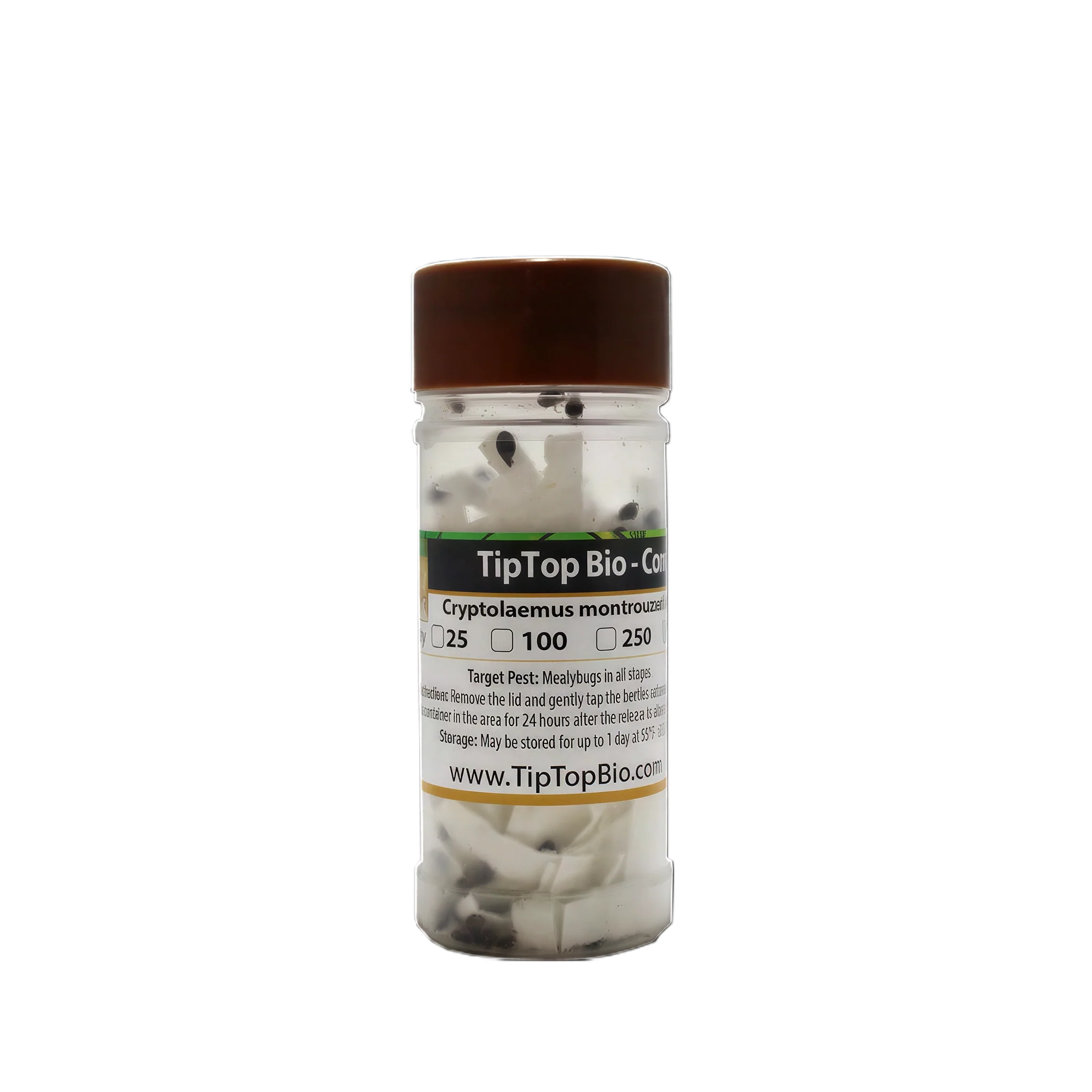 Tip Top Bio-Control Cryptolaemus Montrouzieri Beneficial Insects
