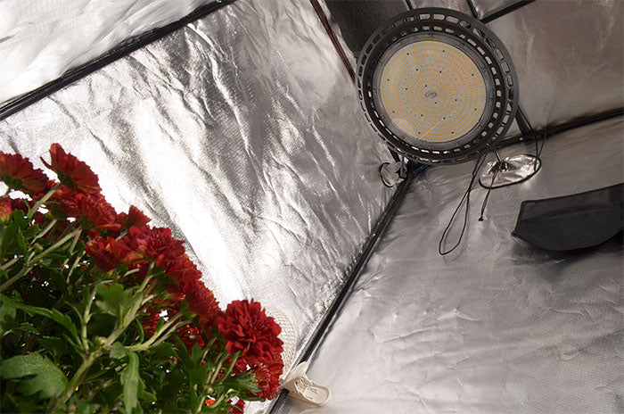 Covert 3' x 3' 150 Watt UFO LED Grow Tent Kit With Automated Ventilation Package