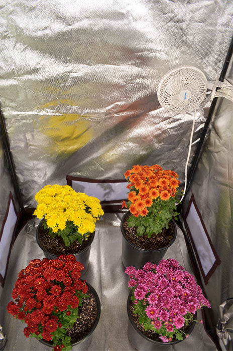 Covert 3' x 3' 150 Watt UFO LED Grow Tent Kit With Automated Ventilation Package