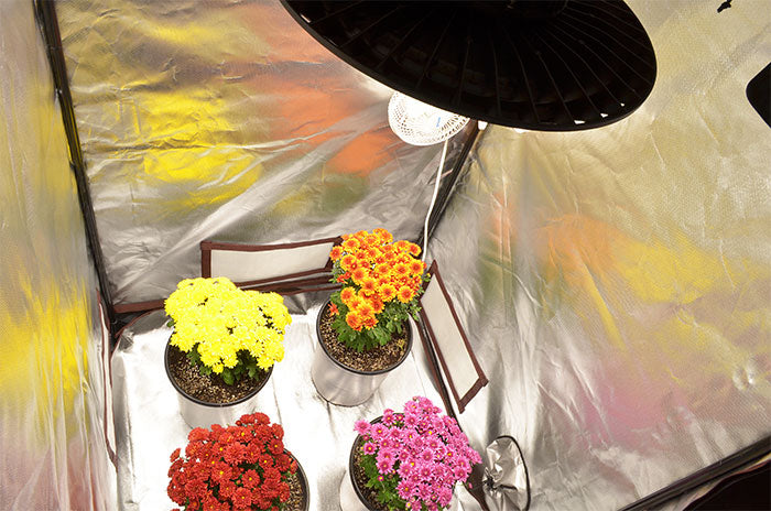 Covert 3' x 3' 150 Watt UFO LED Grow Tent Kit With Automated Ventilation Package