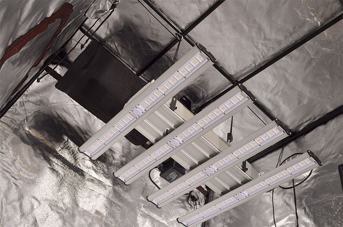 Covert 4' x 4' 250 Watt LED-X Grow Tent Kit With Automated Ventilation Package