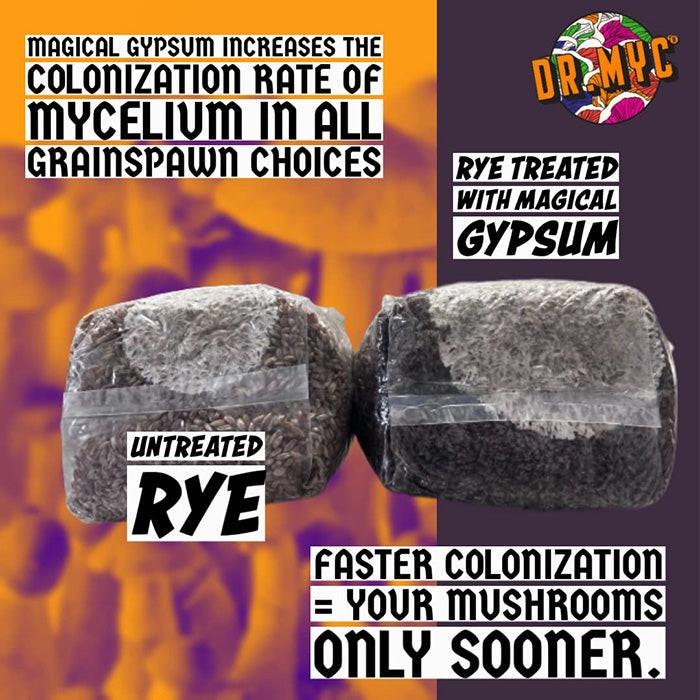 Dr. Myc Magical Gypsum, 1 Pound