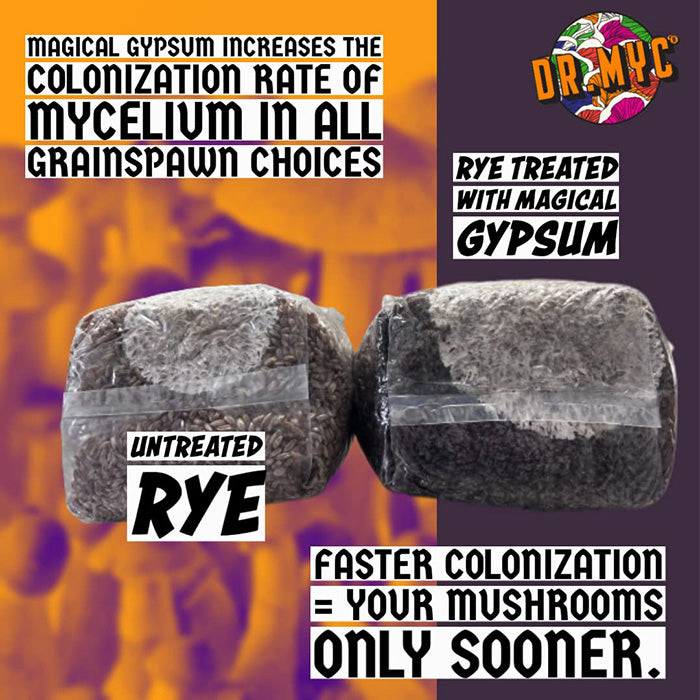 Dr. Myc Magical Gypsum