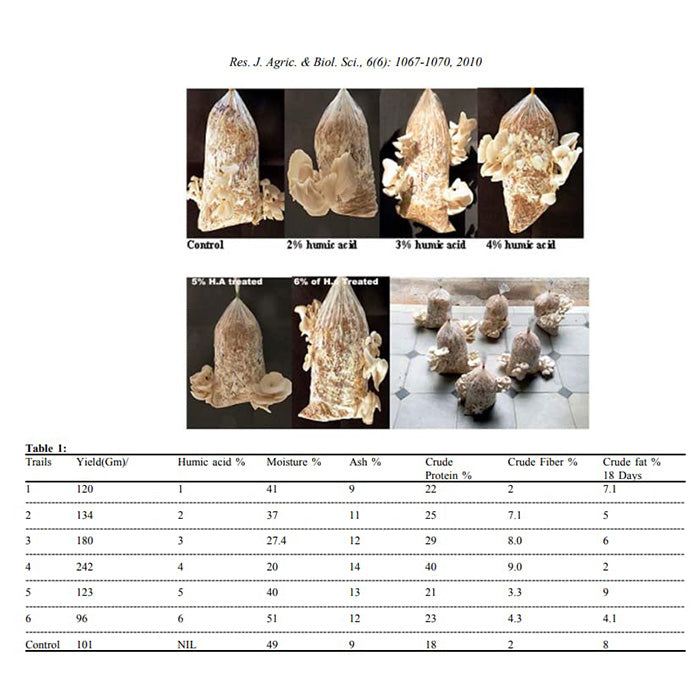 Dr. Myc Magical Gypsum, 3 Pounds