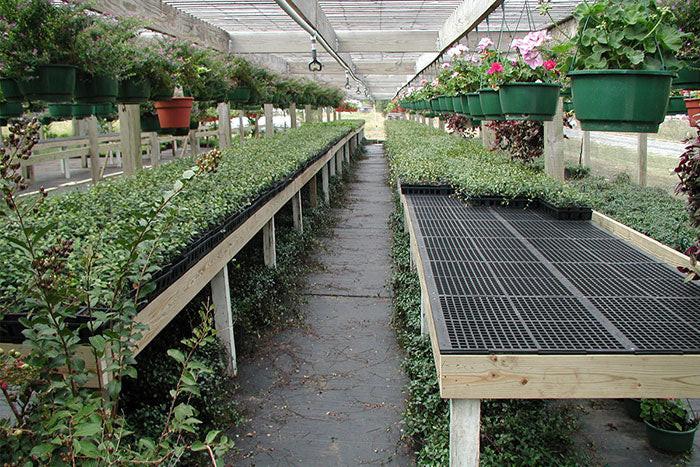 Dura-Bench Plastic Greenhouse Bench Top - Original Overlap 2ft x 4ft - Pallet of 220