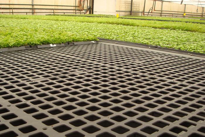 Dura-Bench Plastic Greenhouse Bench Top - Ultra 2ft x 4ft - Pallet of 210
