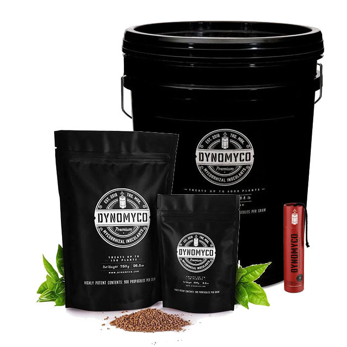 Dynomyco Mycorrhizae Granules