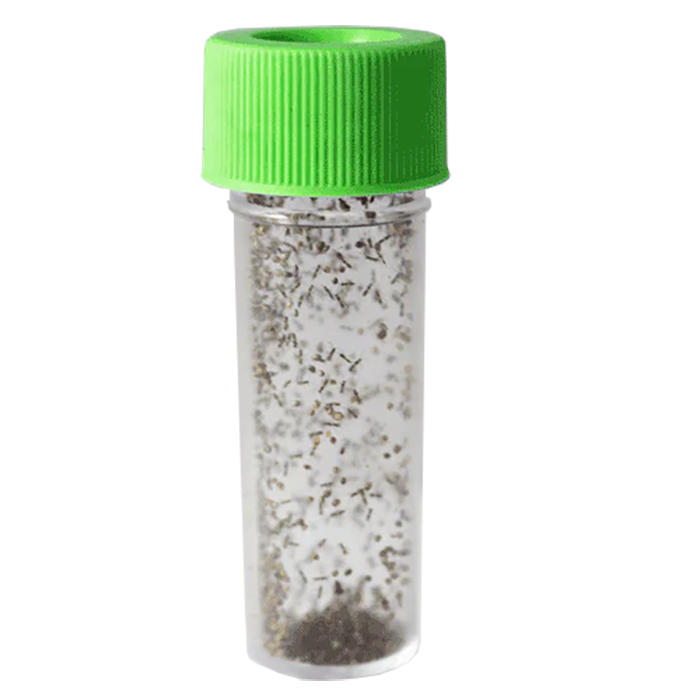 Tip Top Bio-Control Aphidius Ervi Beneficial Parasitic Wasps