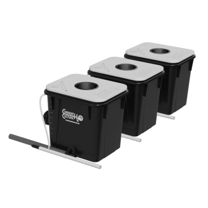 Current Culture 3-Site Multi-Mod Expansion Kit for Under Current Evolution