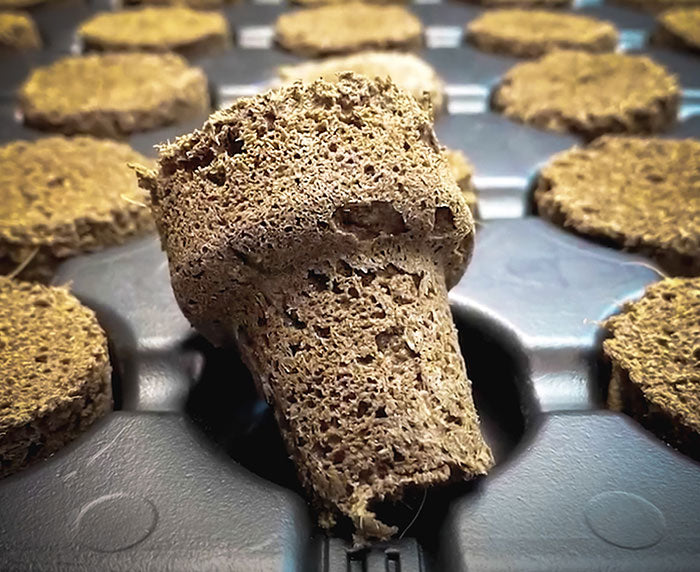 EZ-Clone Propagator Pro Cloning Collar, Pack of 65