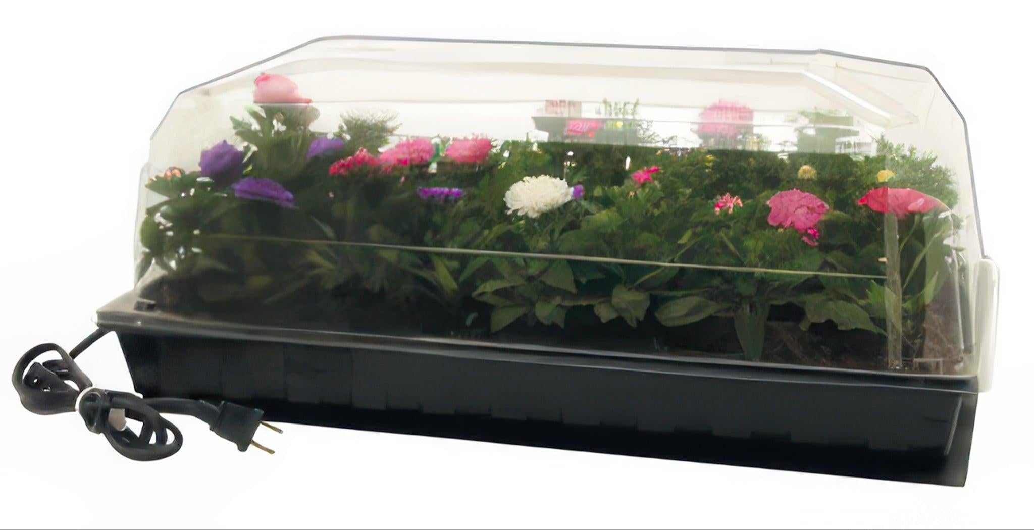 heating mat for potted plants Hot House with Heat Mat