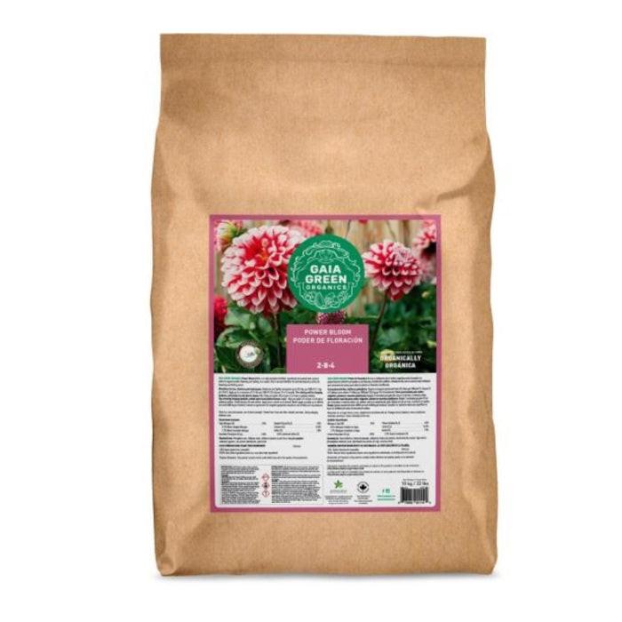 Gaia Green Power Bloom