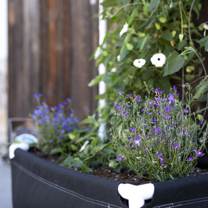 GeoPot GeoPlanter Fabric Raised Bed, 48" x 96" x 12" (240 Gallons)