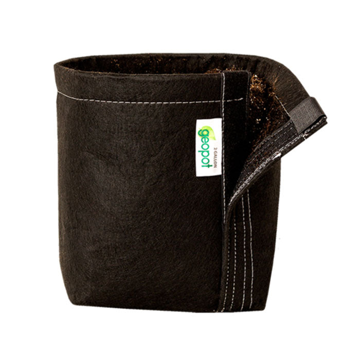GeoPot Black Velcro Seam Transplanter Fabric Pot, 1 Gallon