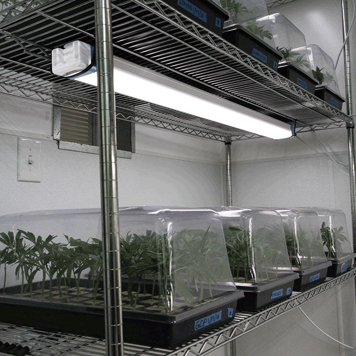 Growlite Germinator 40 Watt LED Grow Light Bar