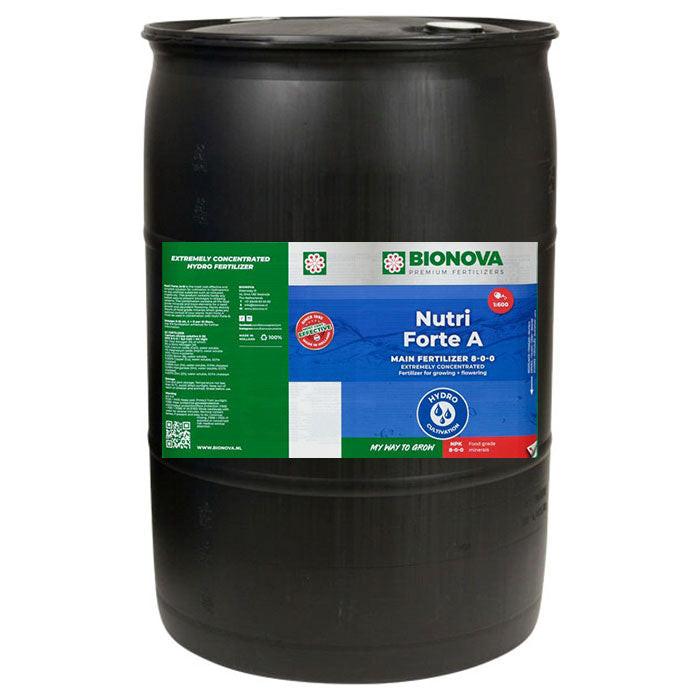 Bionova Nutri Forte A Base Nutrient