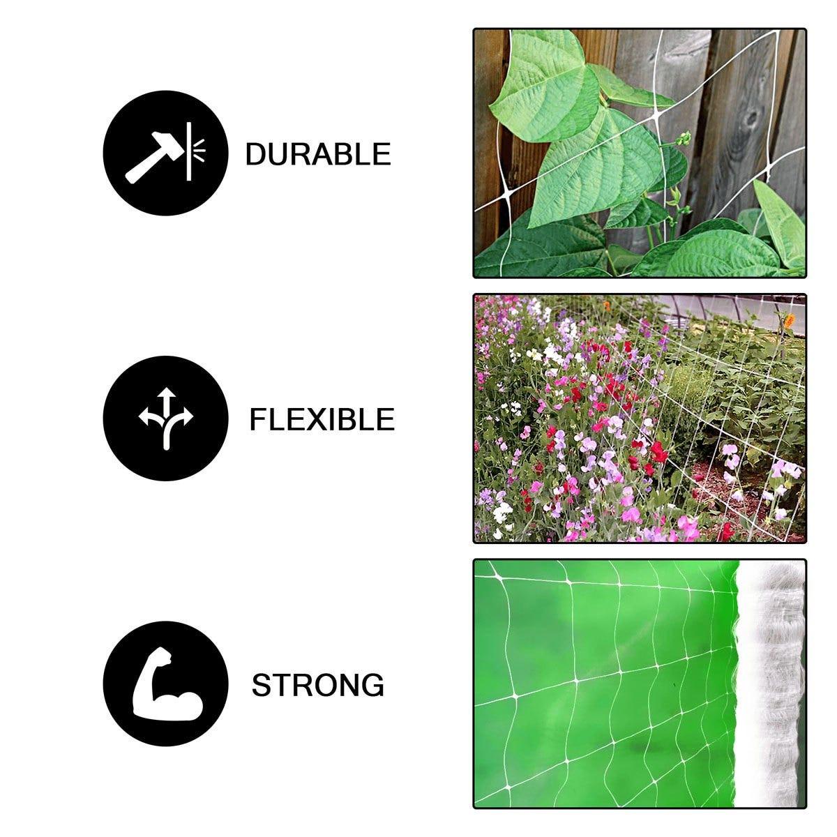 Common Culture Plastic Trellis Netting Bulk Roll 4 ft x 4,920 ft w/ 6 in Squares + Trojan 2 Inch Straight Scissors.