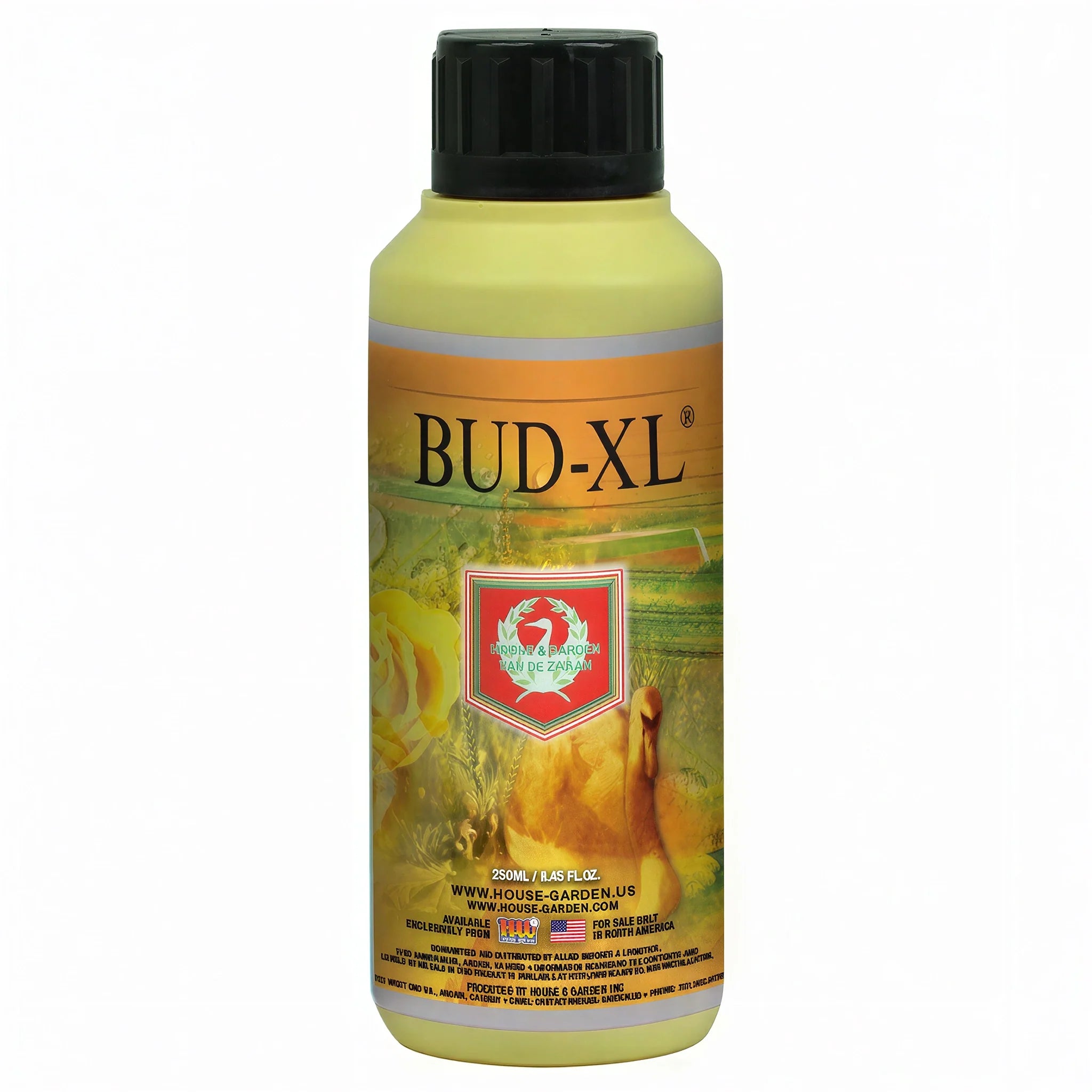 House and Garden Bud XL